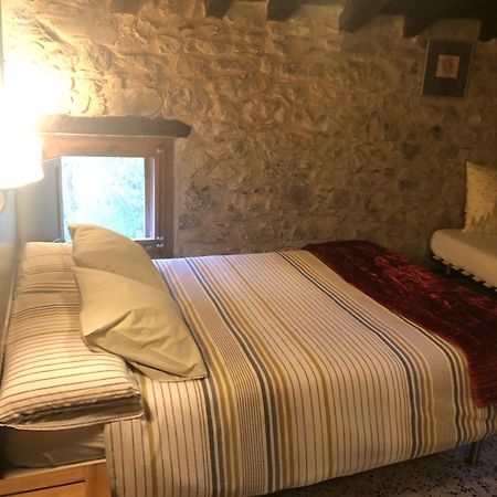 Mas Molladar Solo Adultos Casa de hóspedes Camprodon Exterior foto